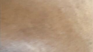 Backshots Pt. 5 (Backseat Action)