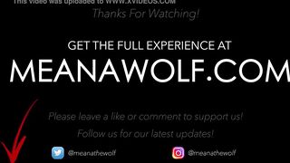 For The Fans - Meana Wolf
