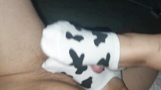 Cow socks